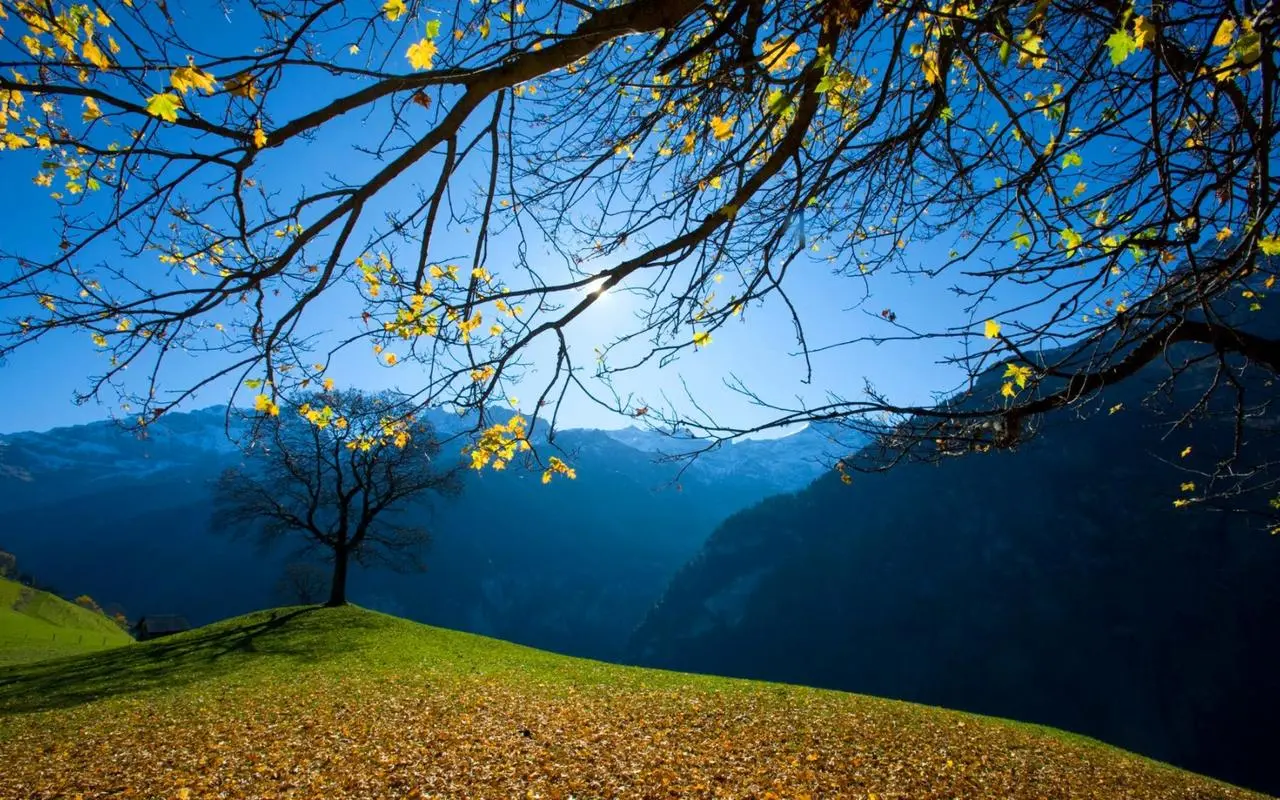 创新创意